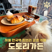 안국 도토리가든 카페 지브리감성ㅠㅠ (메뉴, 맛, 인테리어, 애견, 소품, 고양이)