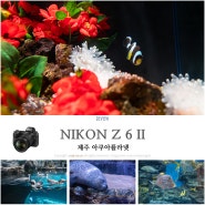 여행 카메라 니콘 풀프레임 미러리스 Z 6II로 촬영한 제주 아쿠아플라넷