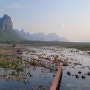 연꽃 습지[Bueng Bua Wood Boardwalk(Thung Sam Roi Yot)] - (카오 삼 로이 욧 국립공원 KHAO SAM ROI YOT national park)