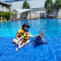 발리 사누르 이그조틱 마린파크 (Exotic Marine Park) 돌고래 수영 먹이주기 체험