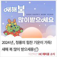 2024년, 청룡의 힘찬 기운이 가득! 새해 복 많이 받으세용