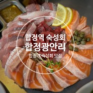 합정역 숙성회 맛집 대방어 연어 맛집 '합정 광안리'