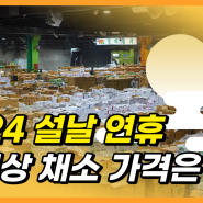 [설날 특집]2024 설날 연휴! 차례상에 올라가는 채소 시세는⁉️ 제수용 채소 물가(가락시장 설연휴,주차)