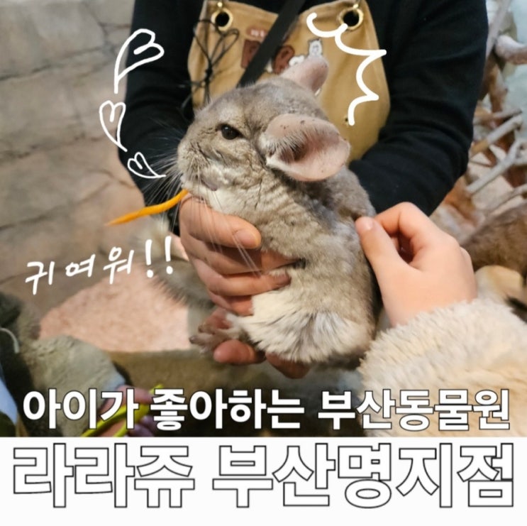 부산 동물원 깨끗하고 친절한 라라쥬 동물원