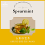 상쾌하고 달콤하게, 스피아민트 Spearmint 즐기세요!