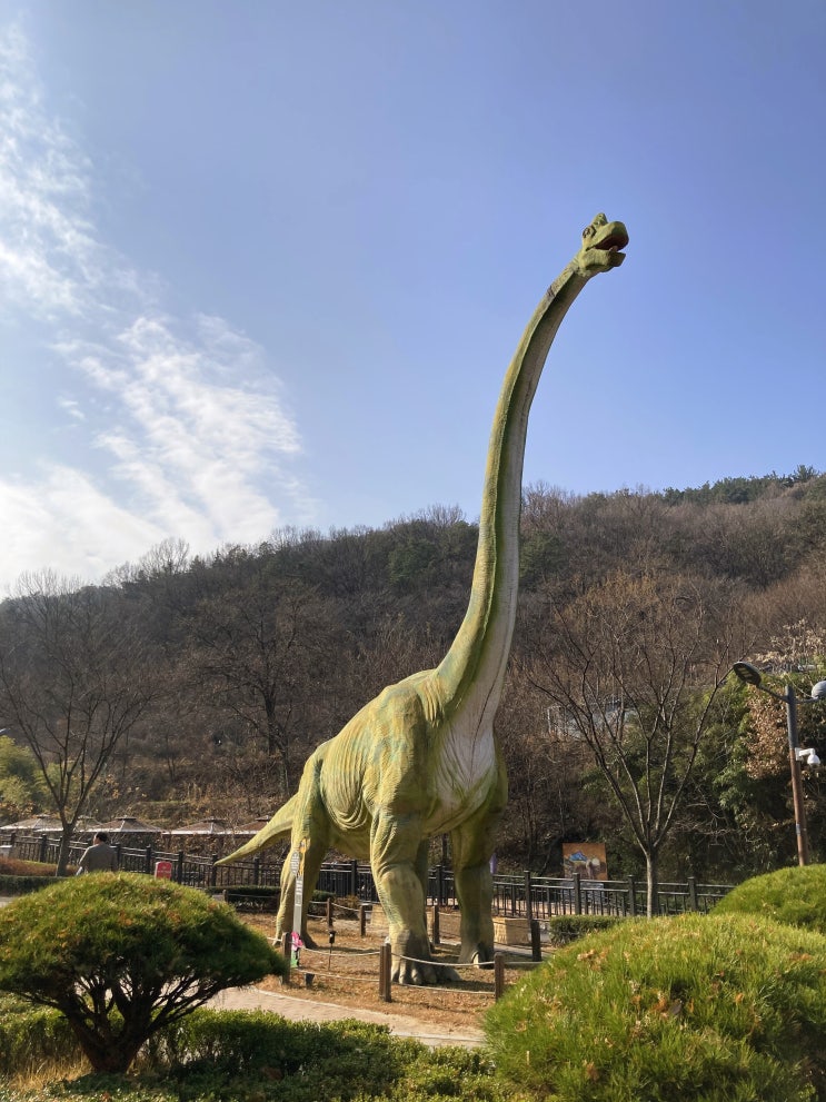 [고산골 공룡공원] 대구 아이랑 가볼만한곳 유아숲체험...