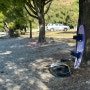 [신행일기] 뉴질랜드 캠핑 4일차 2탄(+캠핑장 후기 및 정보!)