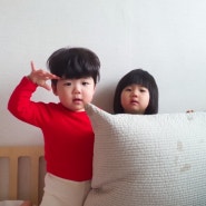 15개월 쌍둥이 아기 기록