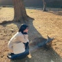 일본 오사카 여행 가볼 만한 곳| 나라 공원(사슴 공원), 도다이지 방문 후기