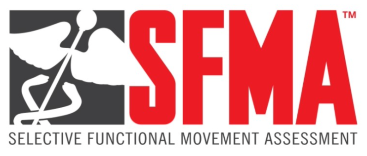 SFMA 늦은 교육 후기 : 네이버 블로그