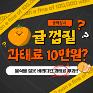 🧡귤 껍질 잘못 버리면 과태료 💲💲만원, 과일 껍질 일반쓰레기가 아니라고..?😲