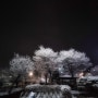 눈 내린 날 밤#사진찍는수학샘