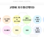 [광주 치과 동물병원, 고양이 전발치, 고양이 발치, 고양이 치주염] 8살 고양이의 치주염으로 인한 전발치 수술 case