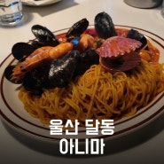 [울산 남구 달동] 맛도 좋고 분위기까지 완벽한 삼산 맛집 '아니마 ANIMA'
