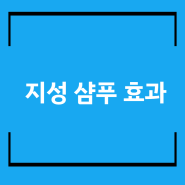 지성 샴푸 효과