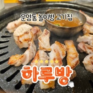 김포 운양동 맛집 놀이방있는 고기집 하루방 내돈내산 후기