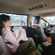 하노이 공항 택시, 전용 기사님에게 픽업 서비스 받은 후기 (ft.베트남 초이스)