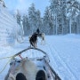 핀란드 여행(4) 사리셀카 액티비티 후기: 허스키 썰매, 오로라 헌팅(허스키앤코 예약)