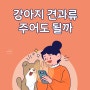 강아지 견과류 주어도 될까