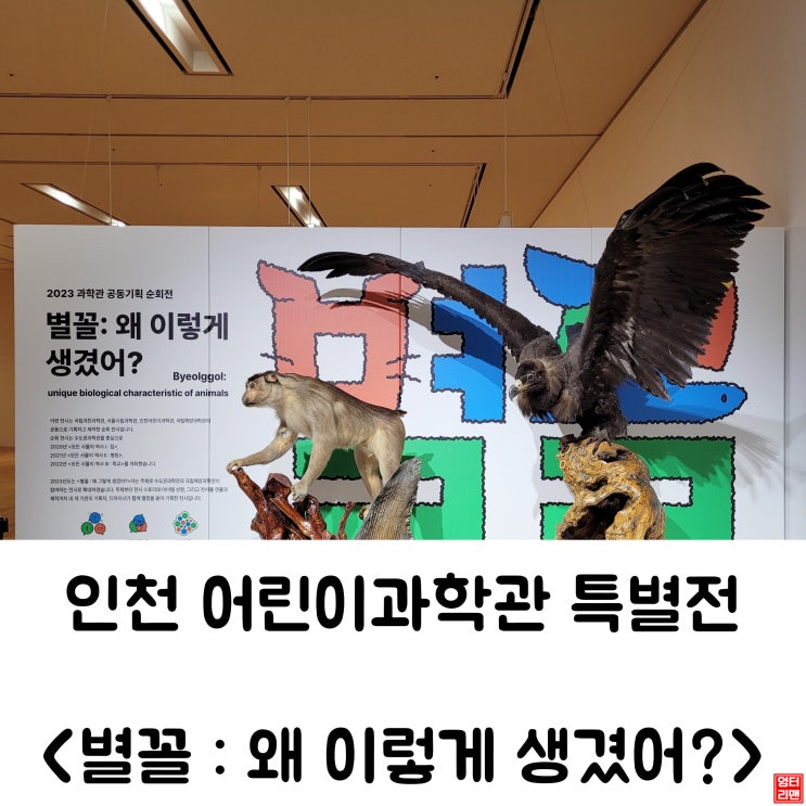 인천 어린이과학관 특별전 <별꼴 : 왜 이렇게 생겼어?>