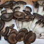 포천 숲속우산 버섯농원이 길러낸 상느타리 버섯 구매하여 올려진 느타리 요리 후기 글