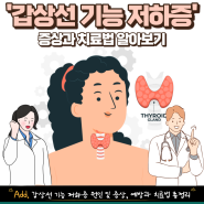 갑상선 기능 저하증, 증상과 치료법 알아보기