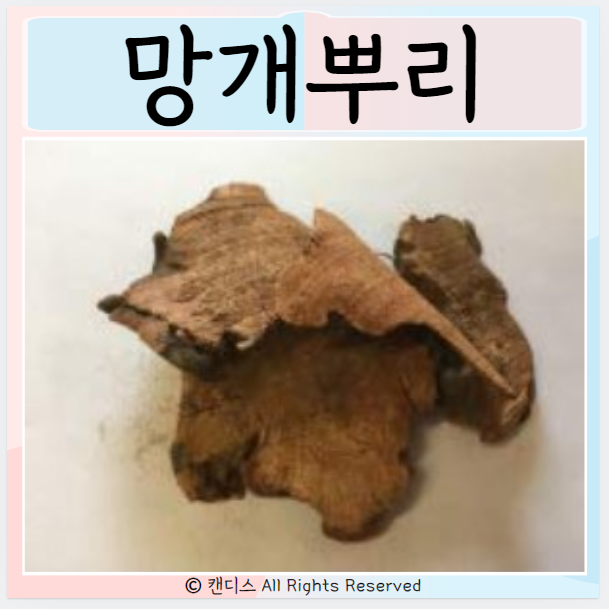 망개뿌리 효능 먹으면 좋은점 부작용 안좋은점 : 네이버 블로그
