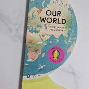 [추천] 우리 아기 첫 지구본 파이돈 보드북 우리의 세계 OUR WORLD(키즈 아트북,책육아,책오브제)