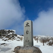 태백산 겨울 등산코스 최단코스 눈꽃산행 겨울등산 (유일사코스)