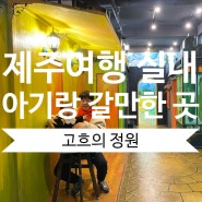 제주도여행 18개월 아기랑 갈 만한 곳 고흐의정원