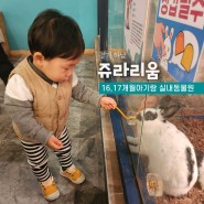 [16,17개월아기 무료] 쥬라리움 하남점 실내동물원
