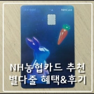 NH농협카드 추천, 별다줄 카드 혜택 및 후기
