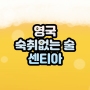 숙취 없이 취하기만 하는 술 ‘센티아’ 출시 한국 가격은?