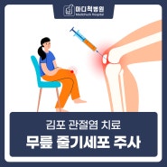김포 무릎줄기세포주사 효과적인 무릎관절염 치료