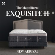 프리미엄 매트리스의 새로운 기준, Exquisite H 시리즈 출시!