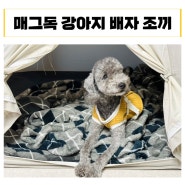 내돈내산 매그독 강아지 배자 조끼 설빔으로 구매한 후기