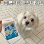 강아지간식, 강아지우유 추천, 마이펫닥터 펫밀크 큐브