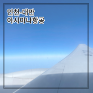 인천-대만 아시아나항공 왕복 후기