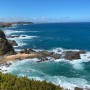 호주 워홀 D+445 / 필립 아일랜드 여행 2, 야생 블루펭귄, 해안가 따라 산책, 바다 룩아웃 💙