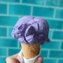 콜스베이 Coles Bay 라벤더 아이스크림 Ice Creamery & Co.