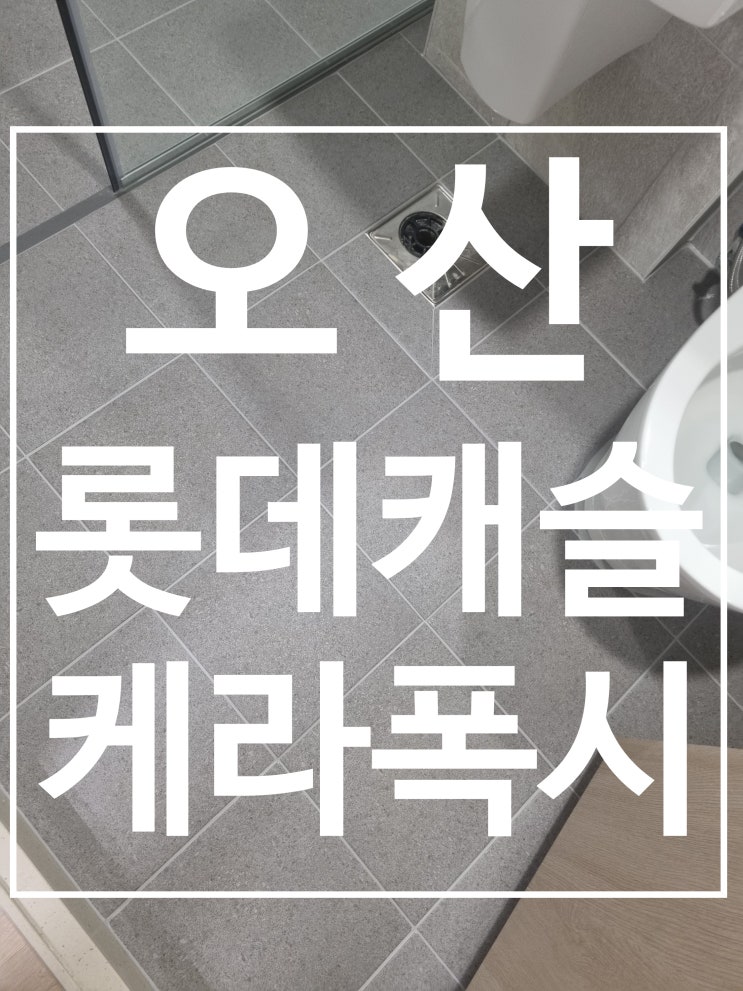 오산 롯데캐슬 스카이파크 대표 시공 사진
