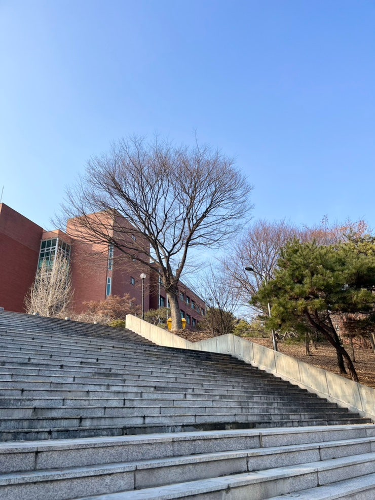 와~~~~~ 해다! : 네이버 블로그