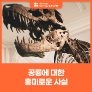 공룡에 대한 흥미로운 사실 13