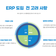 ERP 도입 전 고려사항