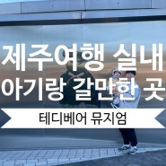 제주도 여행 18개월 아기랑 갈만한 곳 테디베어뮤지엄