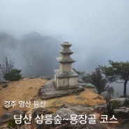 경주 남산 금오봉 등산 삼릉숲 상선암 용장골 대표 코스(500번대)