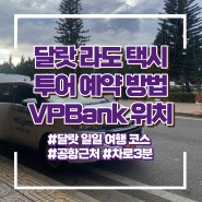 달랏 여행 필수 라도택시 투어 예약방법 / 리엔크엉공항 근처 VPBank 이용하고 여행시작하기!