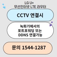 CCTV연결시 LTE라우터 고정IP 할당 불가 로 인한 대응방법 / LGU+ 무선인터넷