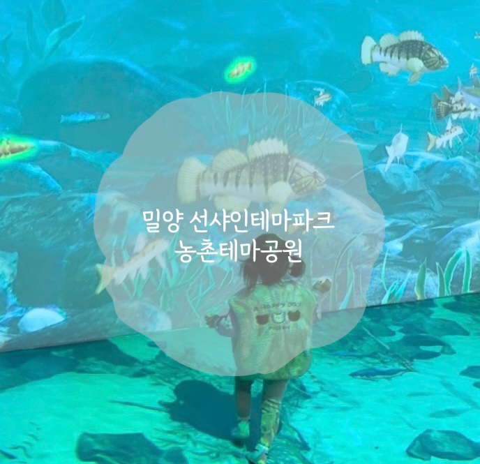 밀양 실내 아기랑갈만한곳 선샤인테마파크 농촌테마공원 무료...