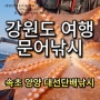 속초 바다낚시 회사워크샵 단체게임 동해 문어낚시